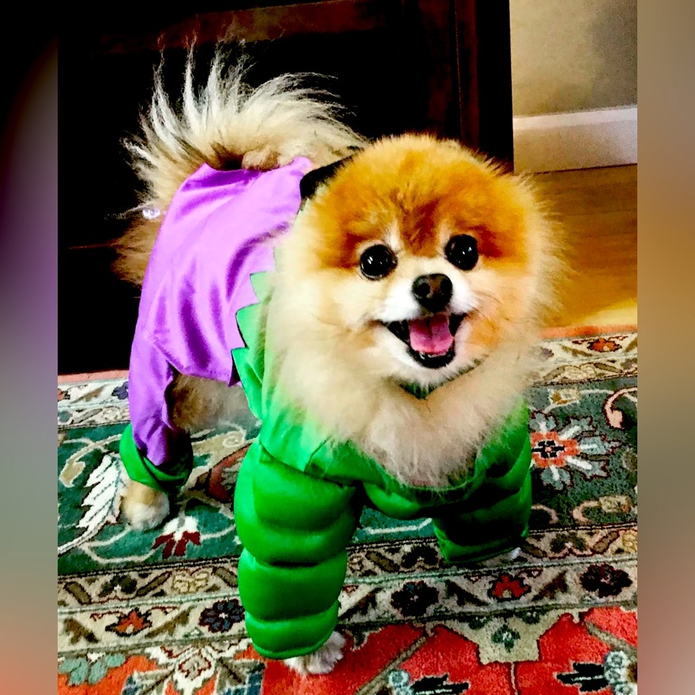 The Avengers Hulk Pet Costume M